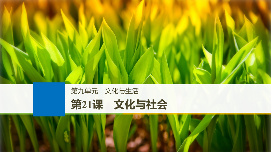 江苏专版高考政治一轮复习第九单元文化与生活第21课文化与社会讲义新人教版必修.ppt_第1页