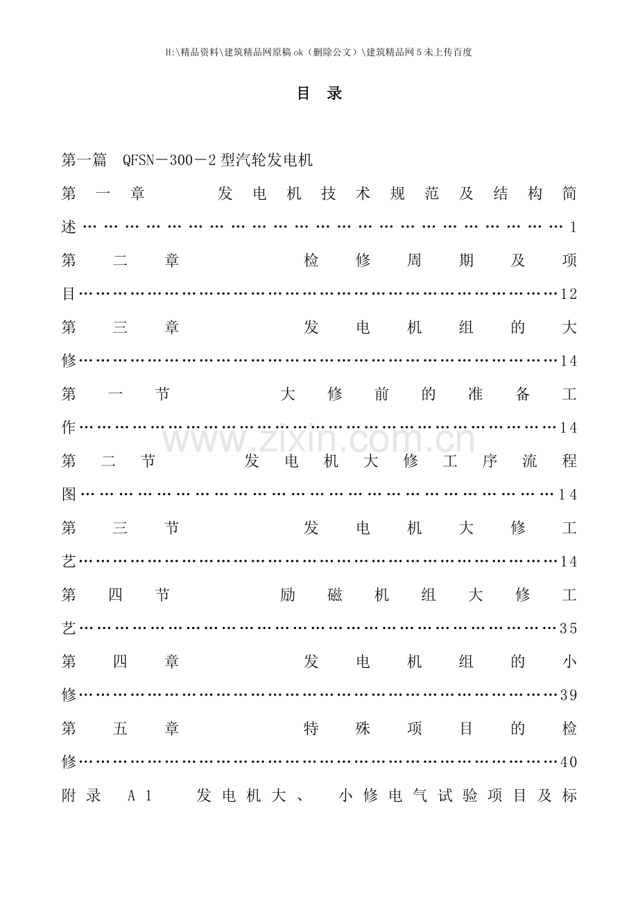 300mw发电机检修工艺规程.doc_第1页
