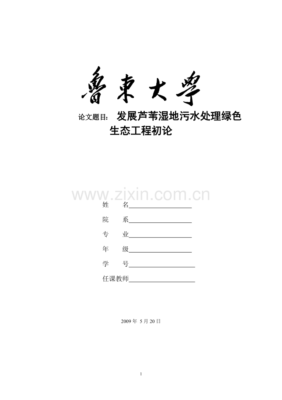 发展芦苇湿地污水处理绿色生态工程初论.doc_第1页