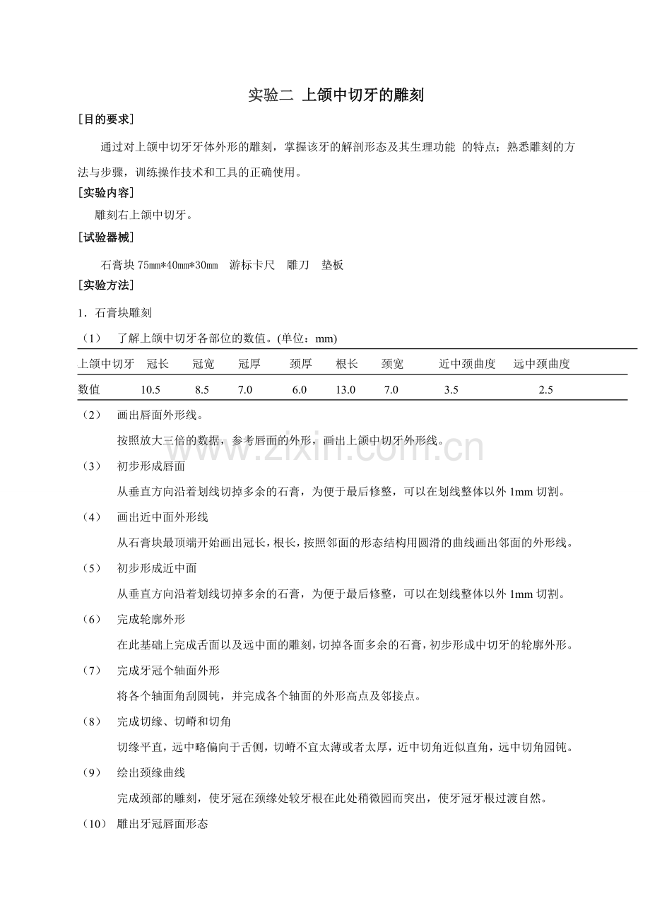 口腔解剖生理学实验报告模板(本科).doc_第2页