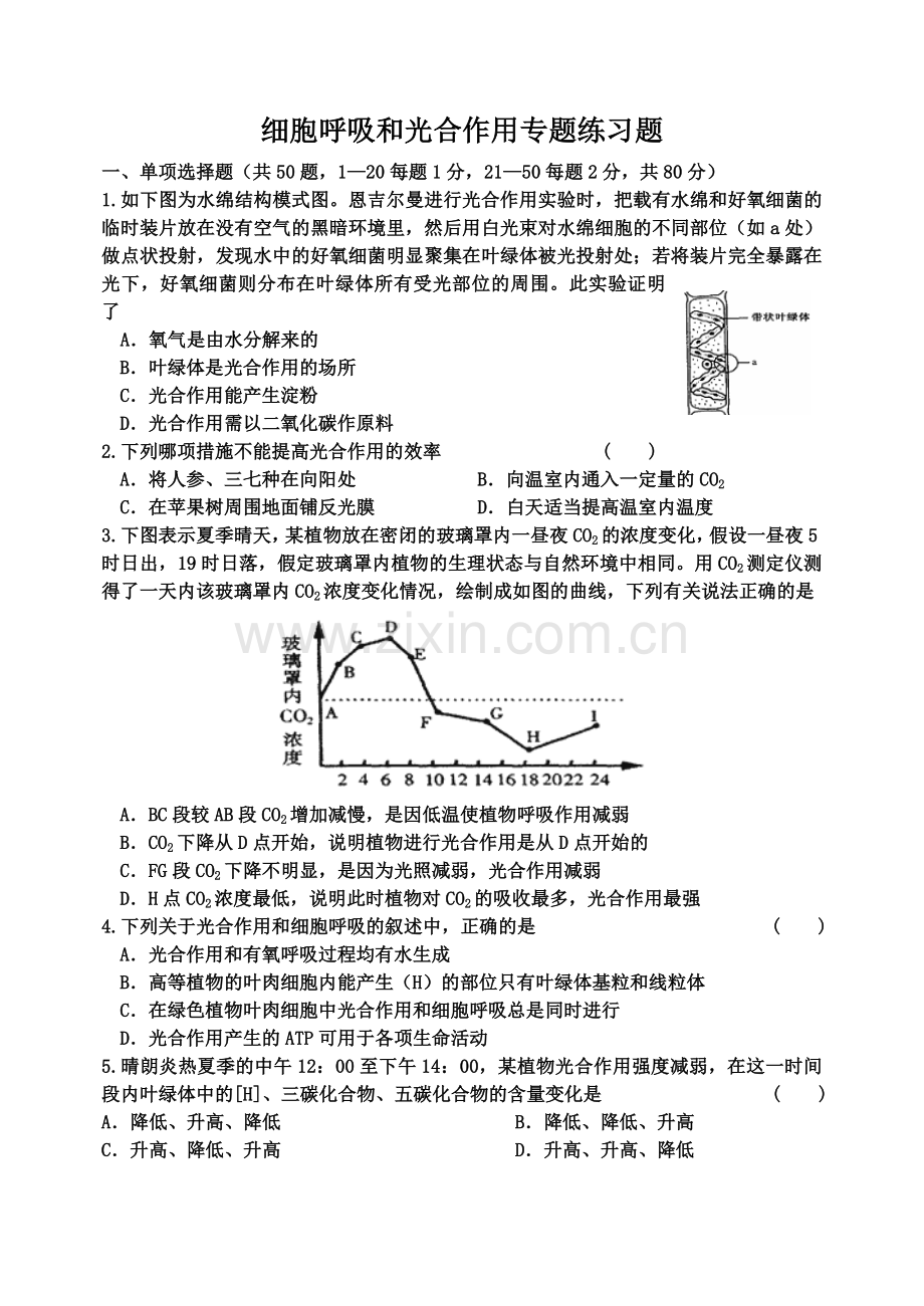 光合呼吸专题.doc_第1页