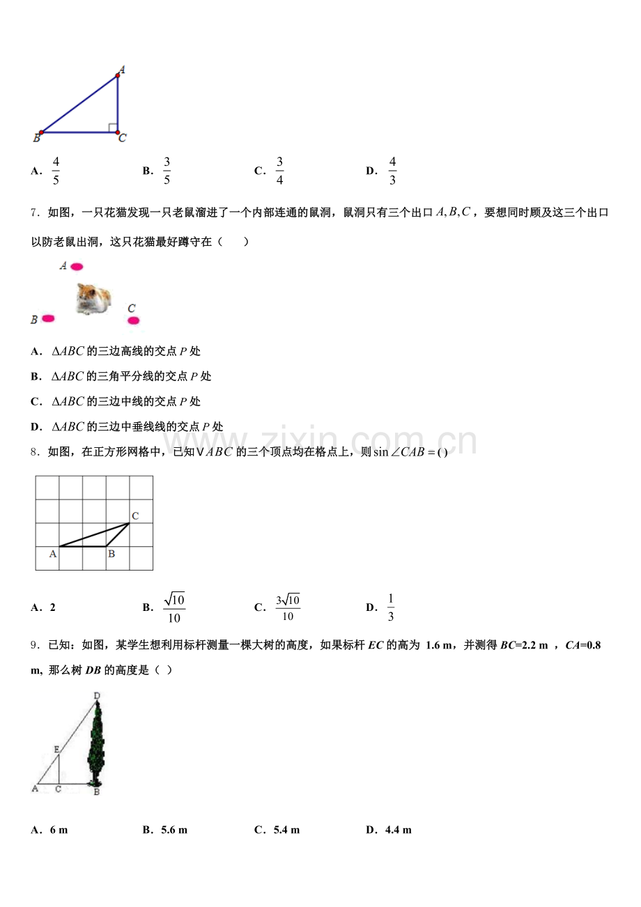 2024年广东省湛江市徐闻县九上数学期末质量检测试题含解析.doc_第2页
