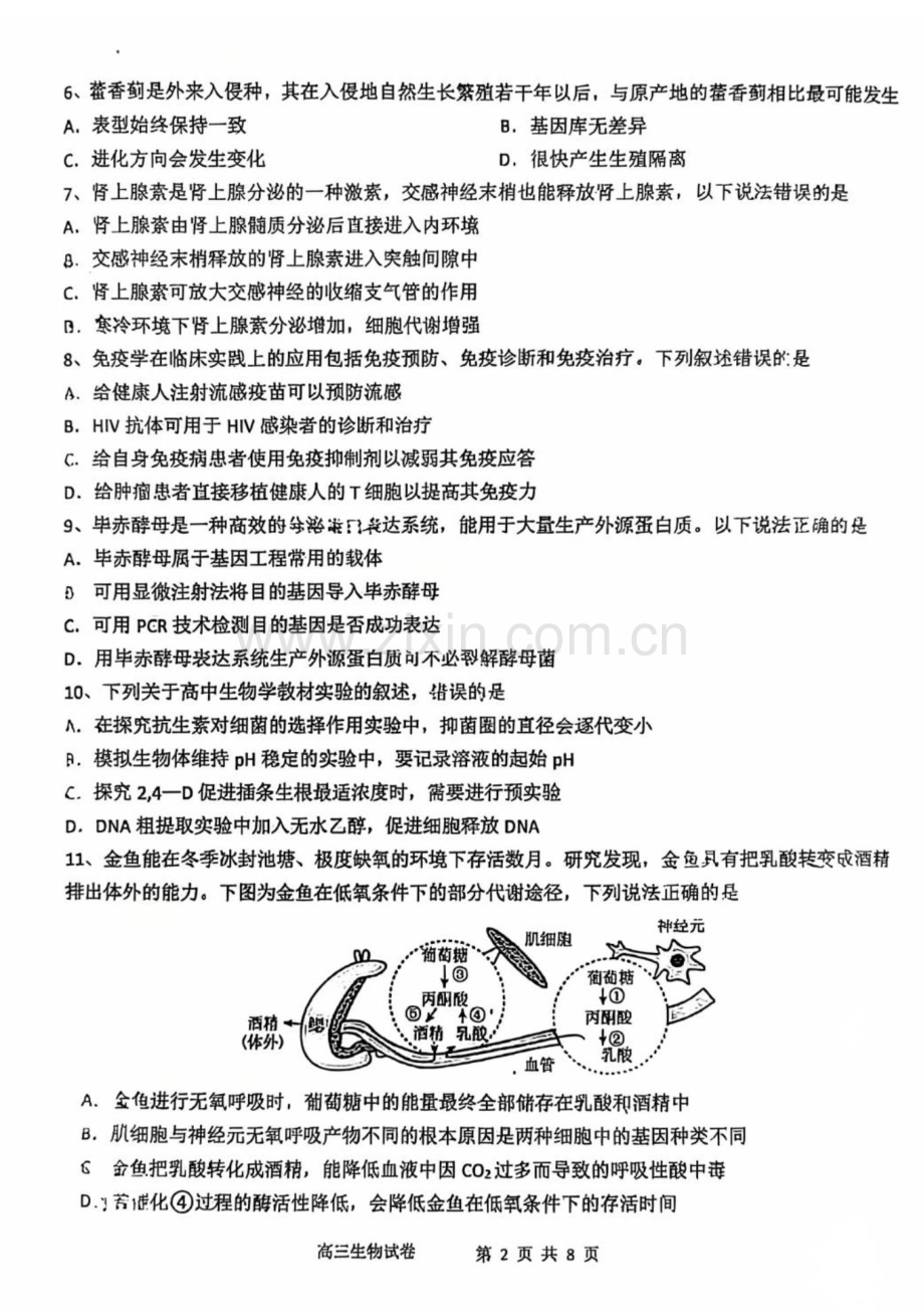 福建省福建师大附中2025届高三上学期1月期末考-生物试卷（含答案）.docx_第2页