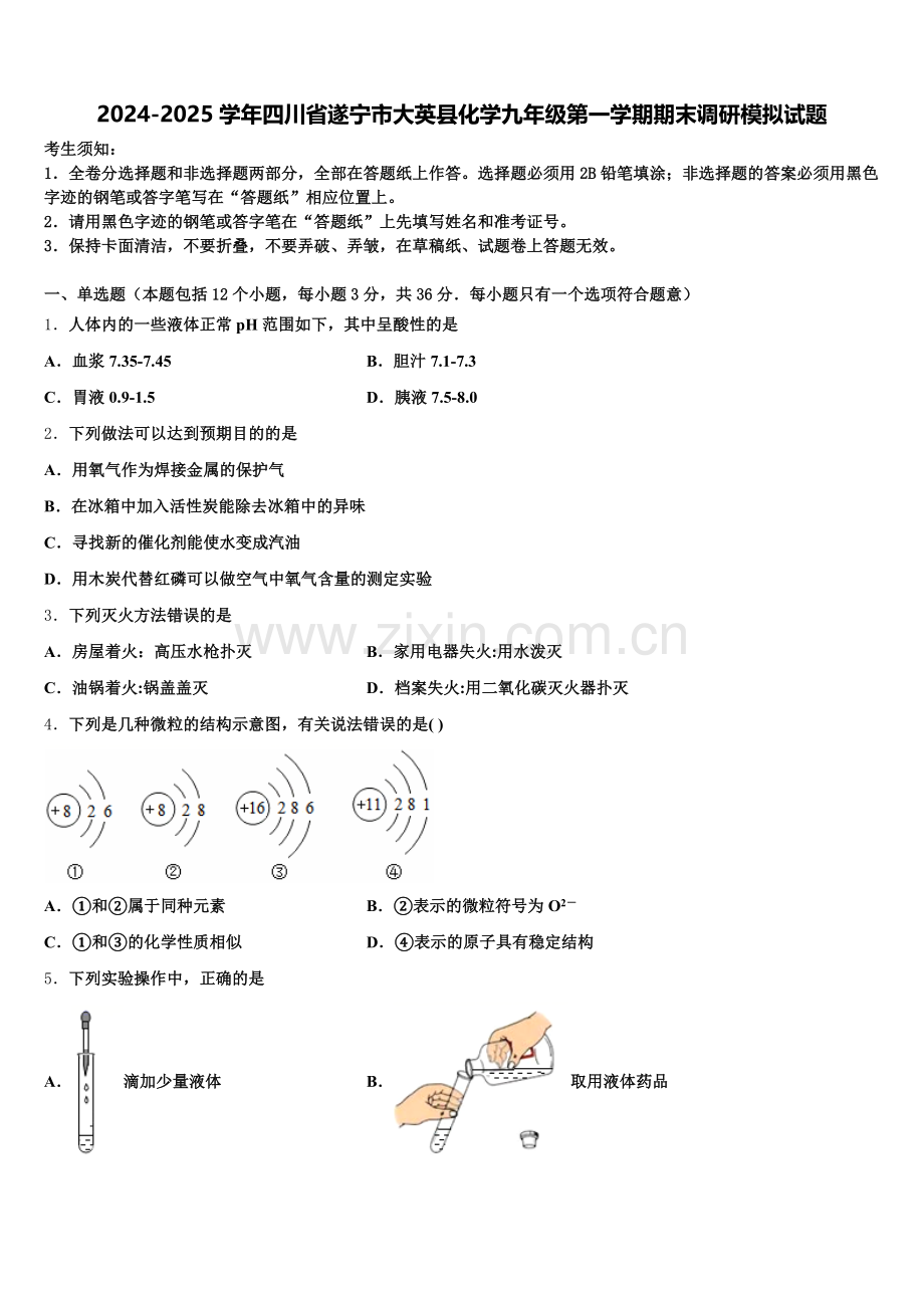 2024-2025学年四川省遂宁市大英县化学九年级第一学期期末调研模拟试题含解析.doc_第1页