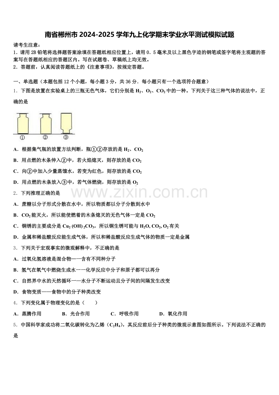 南省郴州市2024-2025学年九上化学期末学业水平测试模拟试题含解析.doc_第1页