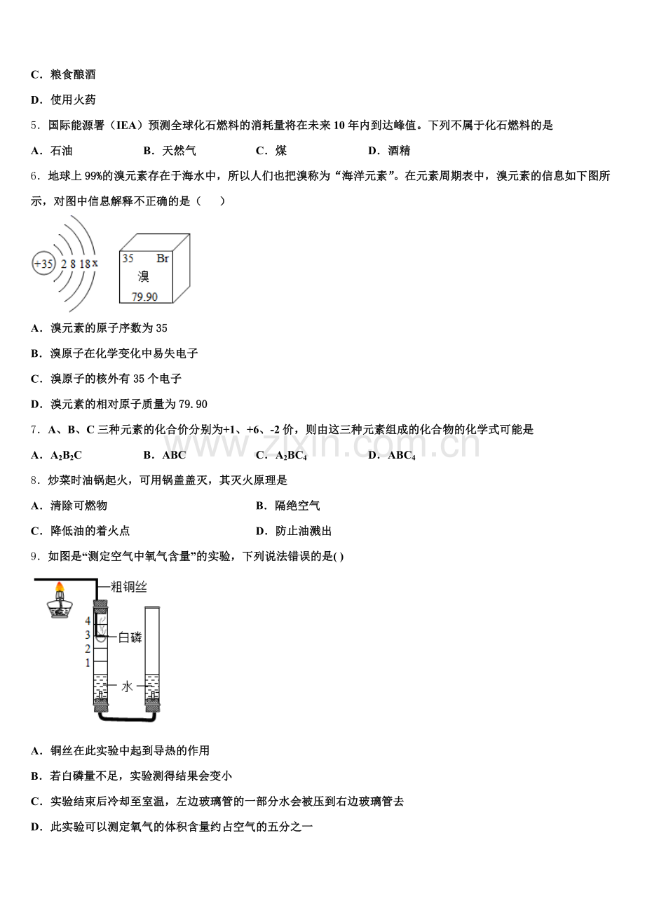 2024-2025学年上海市同济大附属存志学校九年级化学第一学期期末统考模拟试题含解析.doc_第2页