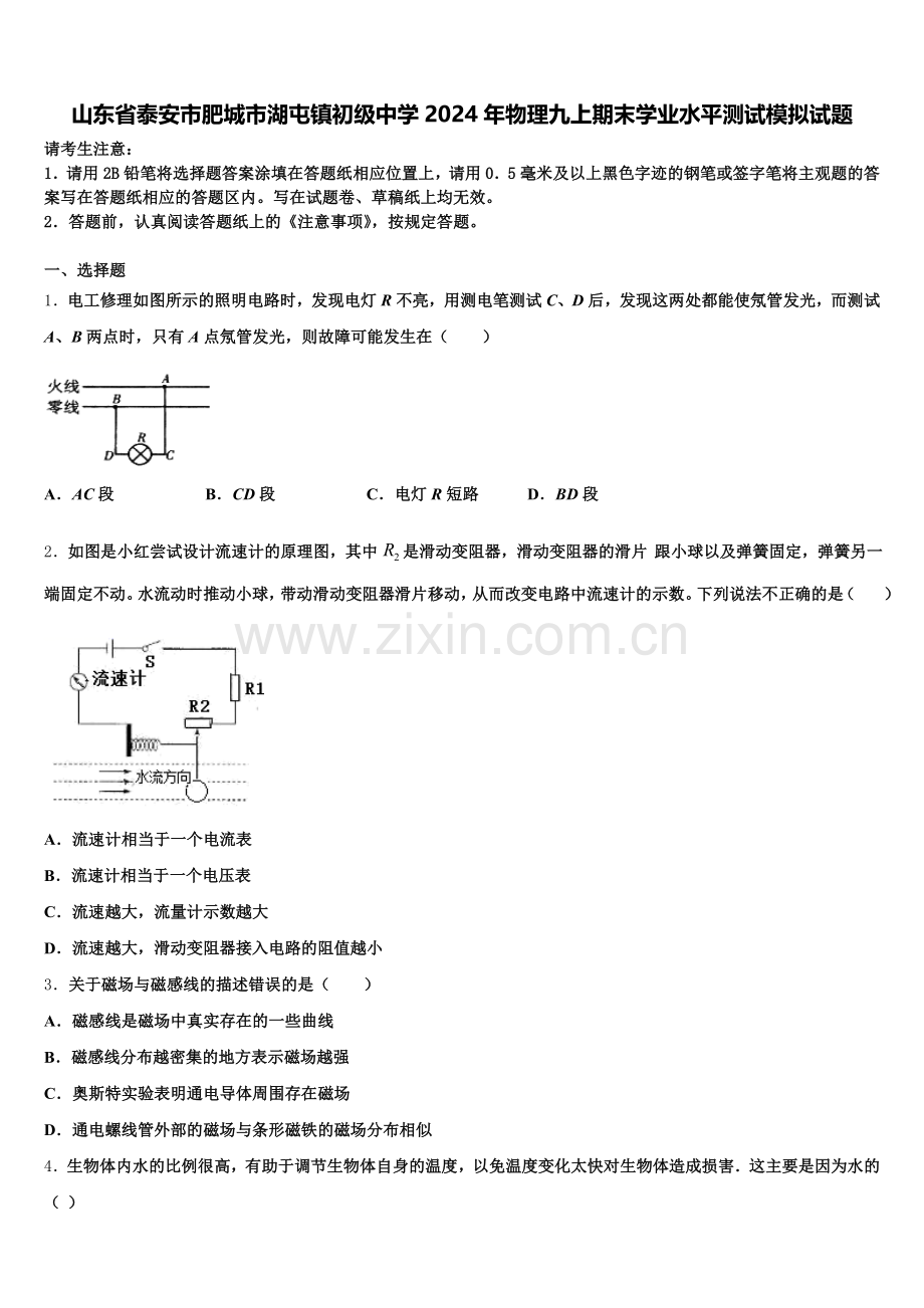 山东省泰安市肥城市湖屯镇初级中学2024年物理九上期末学业水平测试模拟试题含解析.doc_第1页