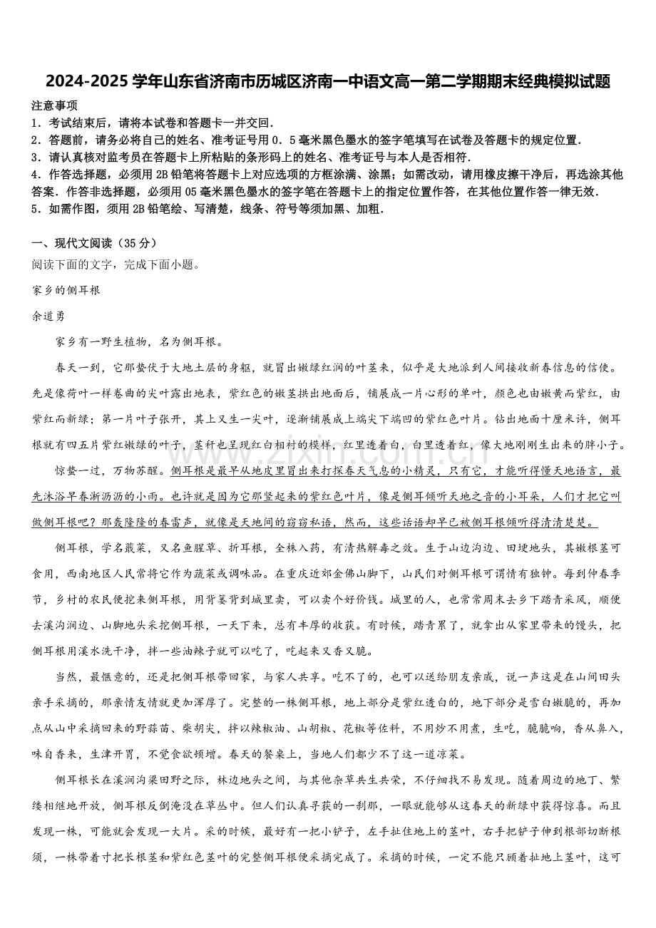2024-2025学年山东省济南市历城区济南一中语文高一第二学期期末经典模拟试题含解析.doc_第1页