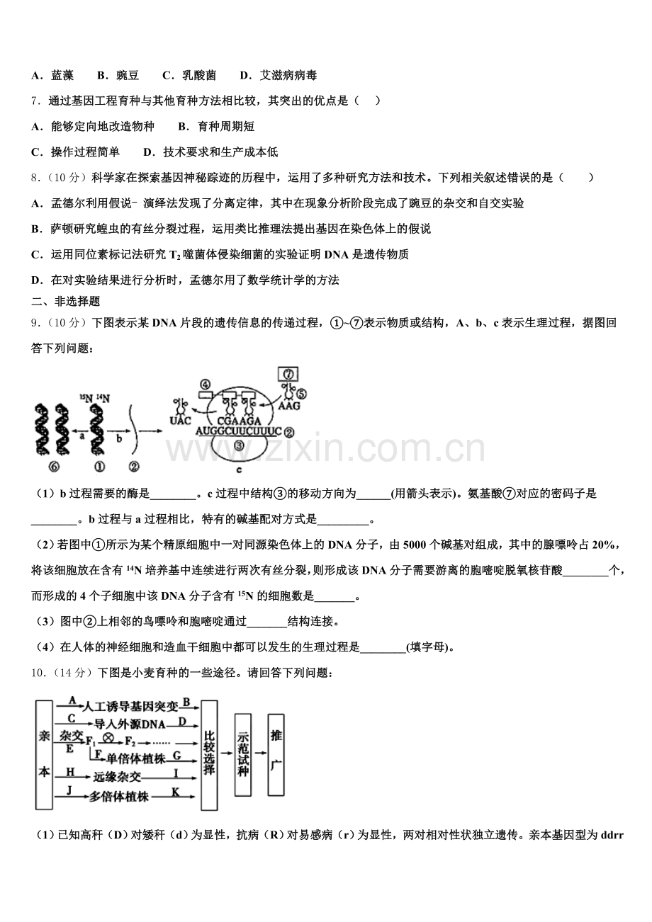 贵州省贵阳市2025年高一下生物期末统考试题含解析.doc_第2页