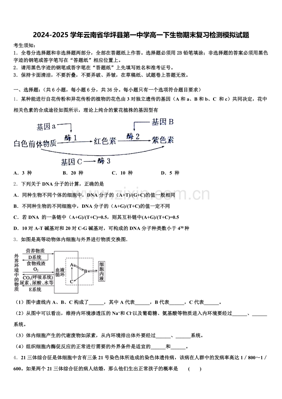 2024-2025学年云南省华坪县第一中学高一下生物期末复习检测模拟试题含解析.doc_第1页