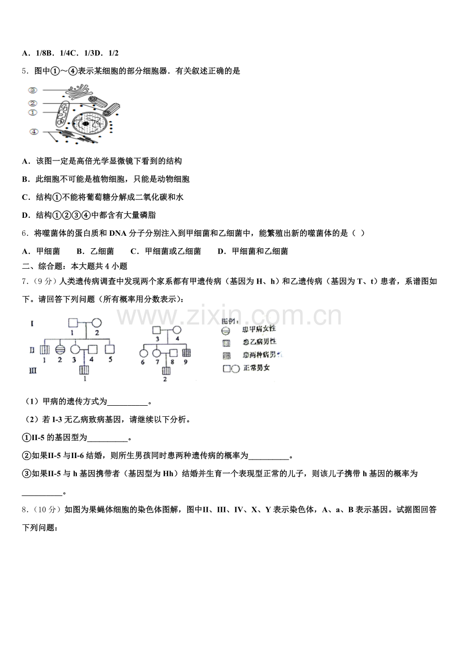 2024-2025学年云南省华坪县第一中学高一下生物期末复习检测模拟试题含解析.doc_第2页