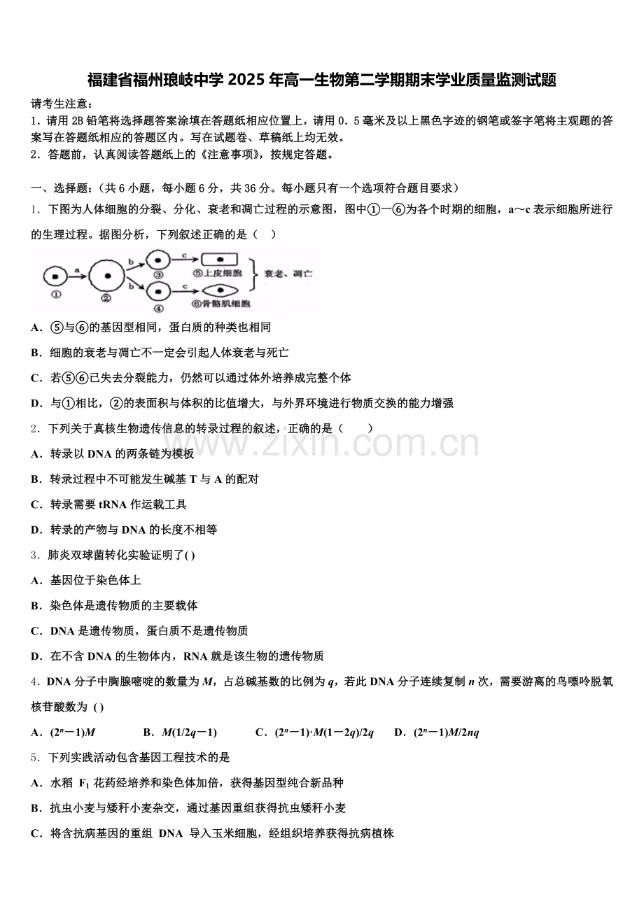 福建省福州琅岐中学2025年高一生物第二学期期末学业质量监测试题含解析.doc_第1页