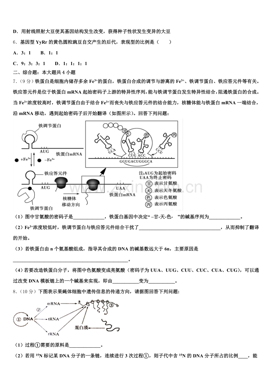 福建省福州琅岐中学2025年高一生物第二学期期末学业质量监测试题含解析.doc_第2页