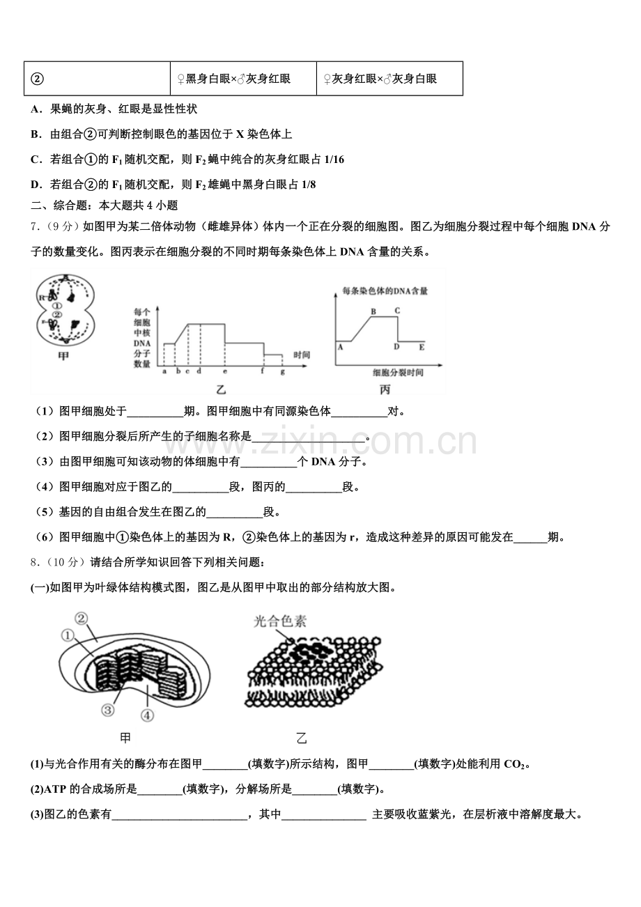 安徽省安庆市怀宁二中2025届高一生物第二学期期末经典试题含解析.doc_第2页