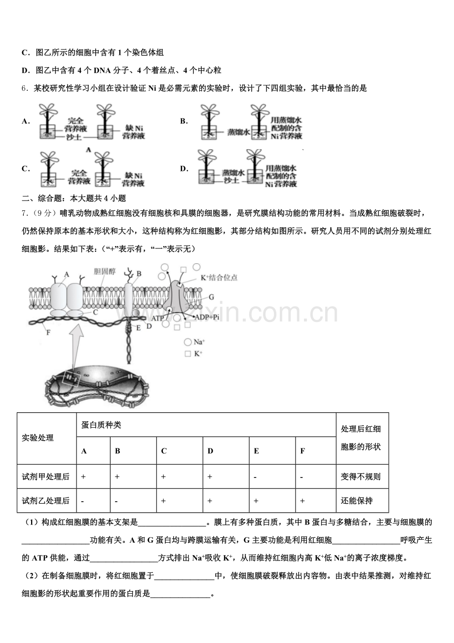 陕西省商洛市丹凤县丹凤中学2025届生物高一下期末质量检测试题含解析.doc_第2页