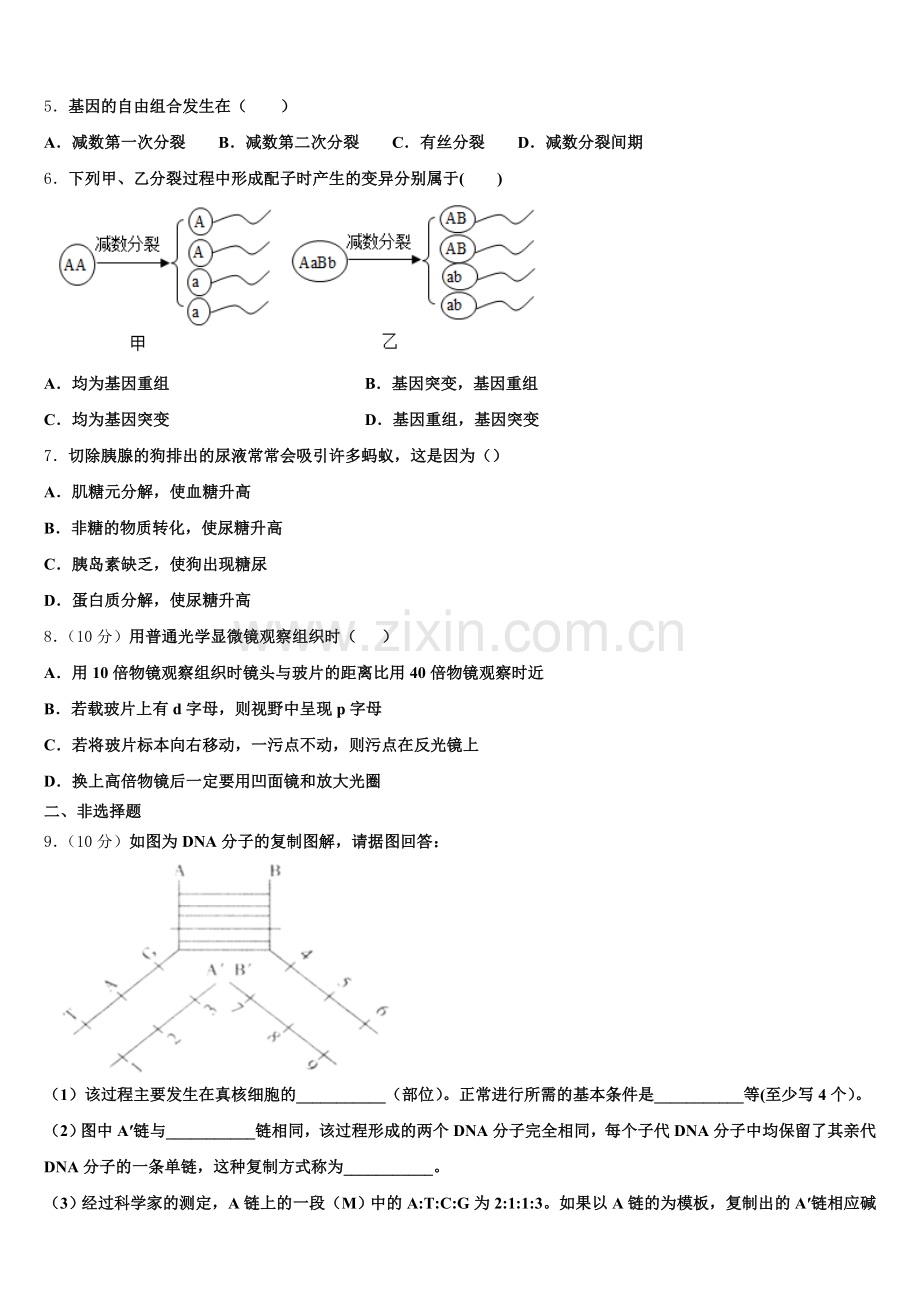 湖南省长沙市芙蓉区铁路第一中学2025年高一生物第二学期期末经典试题含解析.doc_第2页