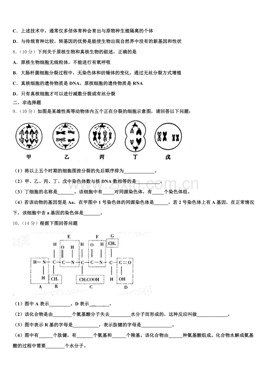 江西省赣州市于都二中2024-2025学年生物高一下期末教学质量检测模拟试题含解析.doc_第2页