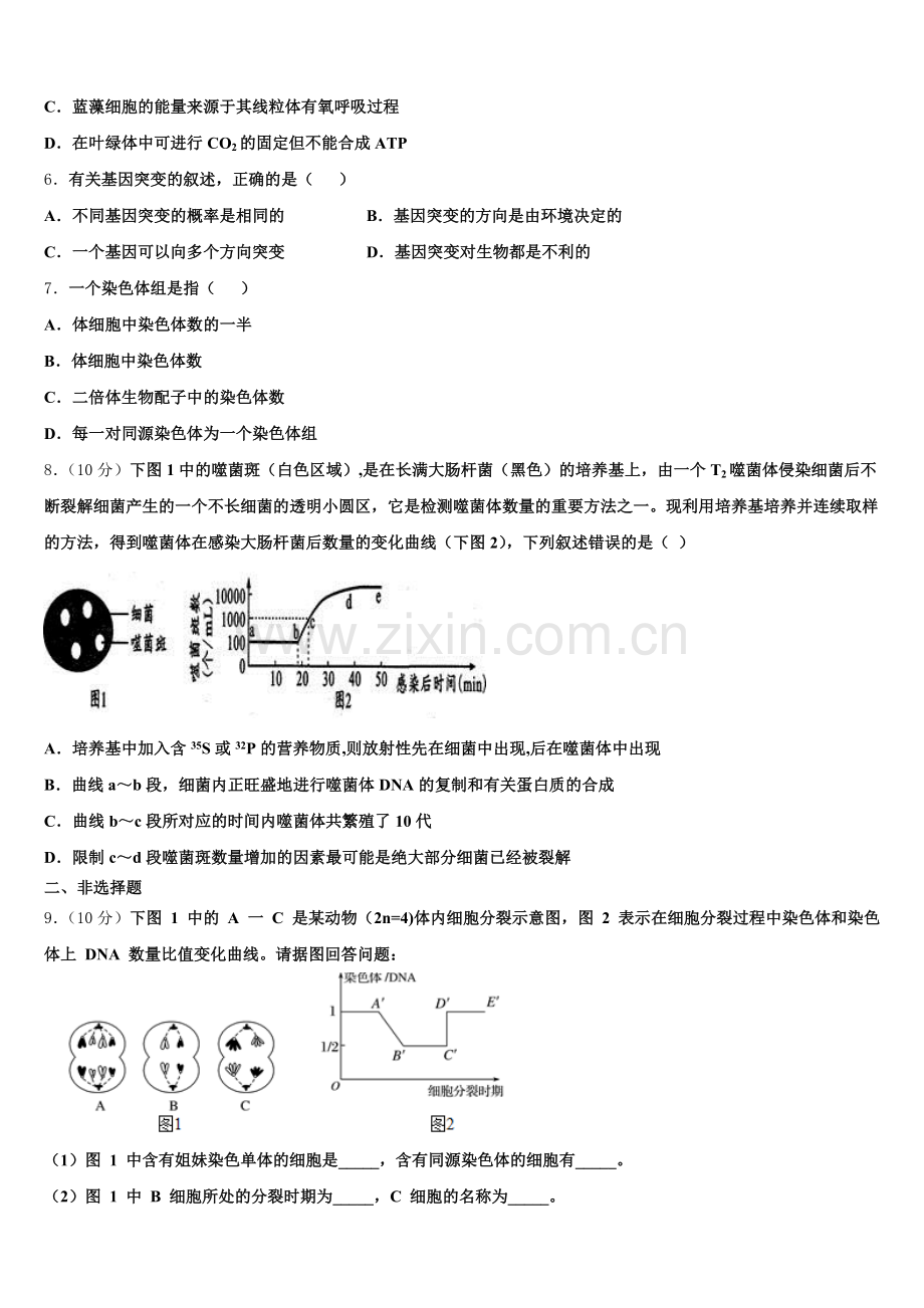 2025年江苏省淮海中学高一生物第二学期期末统考试题含解析.doc_第2页