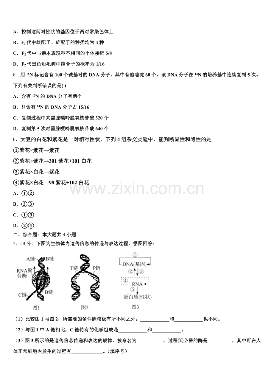 2025届新疆阿克苏市阿瓦提县第四中学高一生物第二学期期末经典模拟试题含解析.doc_第2页