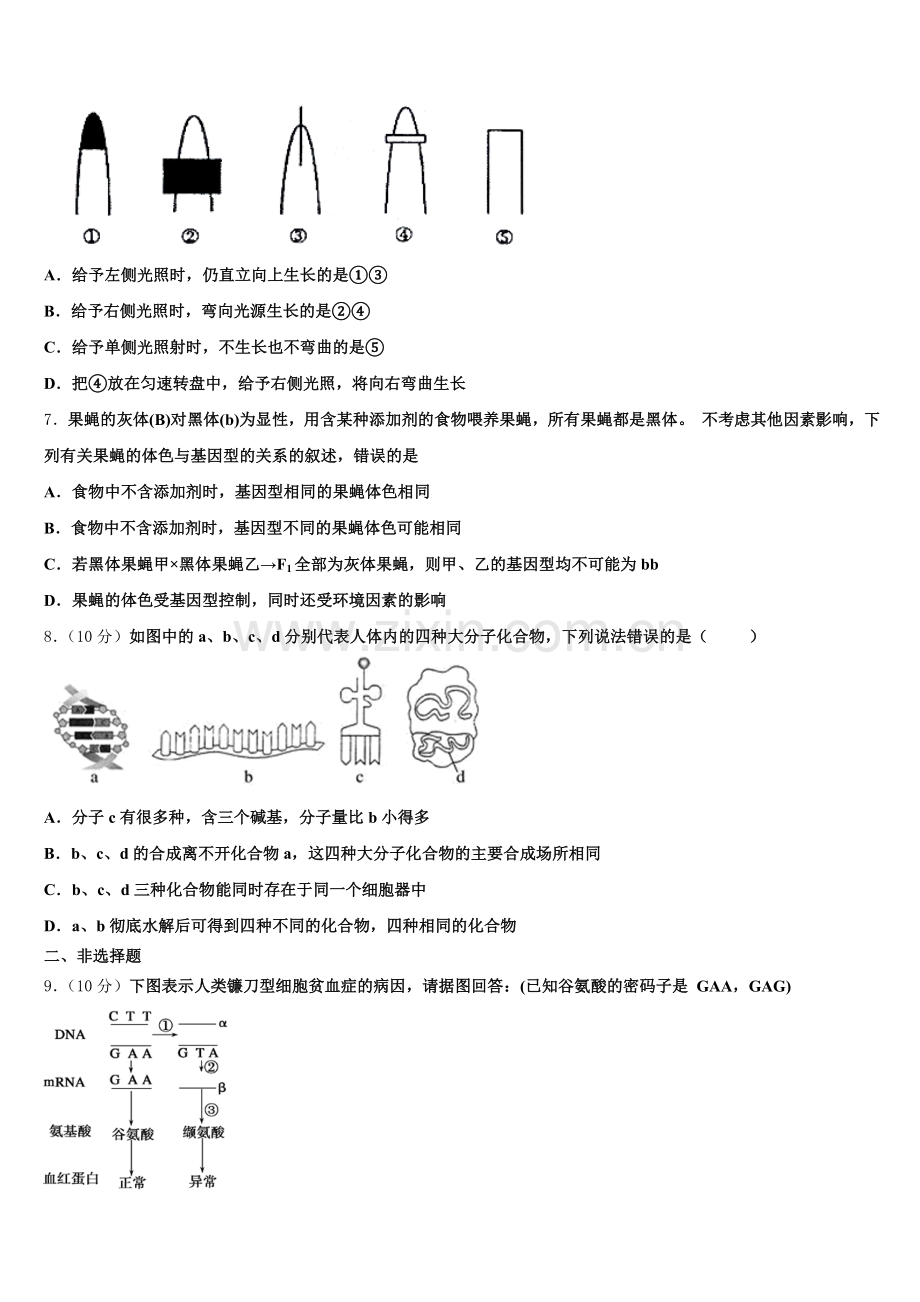 辽宁省庄河高级中学2025届生物高一下期末学业水平测试试题含解析.doc_第2页
