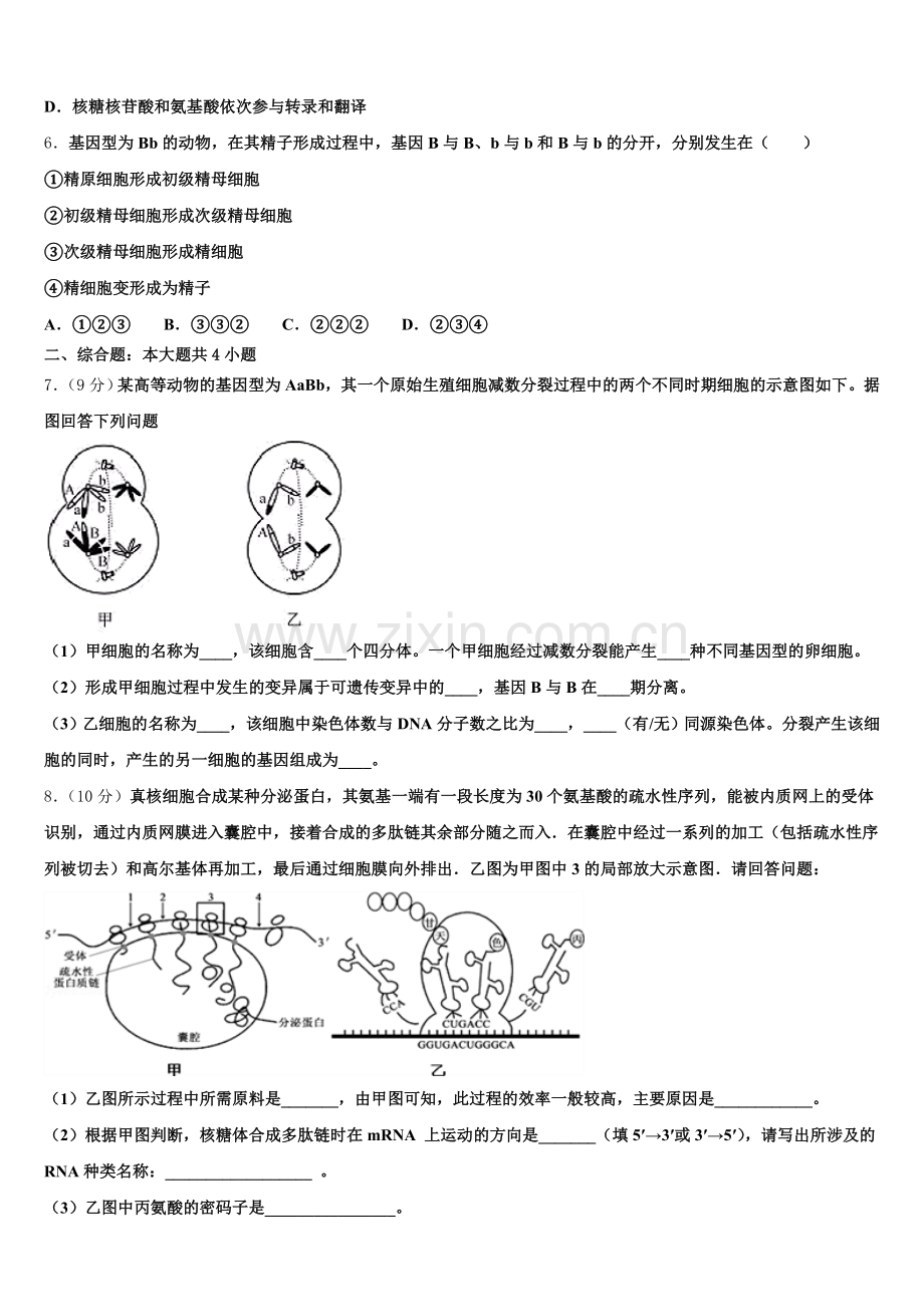2025届河北省生物高一第二学期期末综合测试模拟试题含解析.doc_第2页