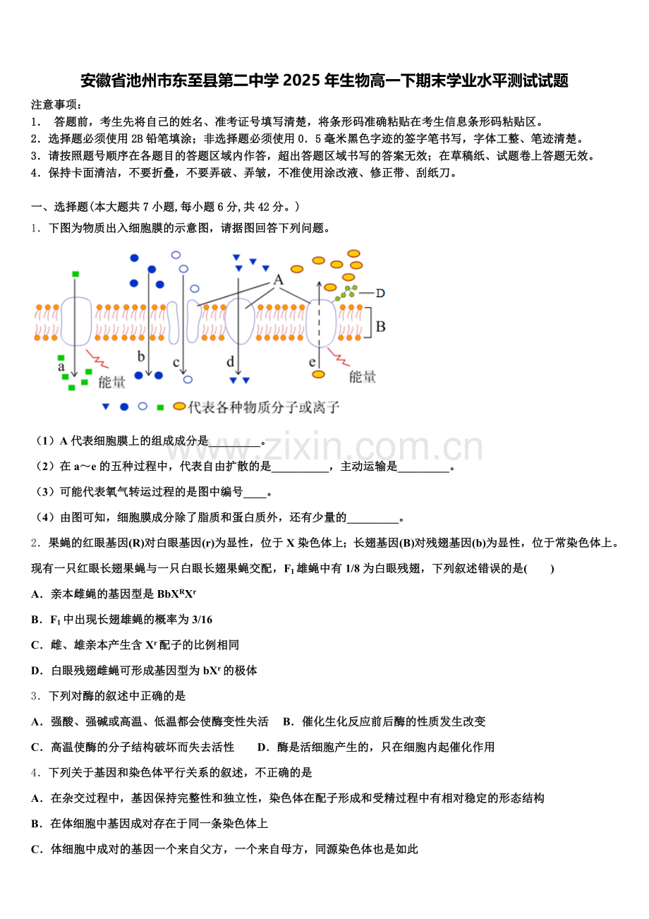安徽省池州市东至县第二中学2025年生物高一下期末学业水平测试试题含解析.doc_第1页