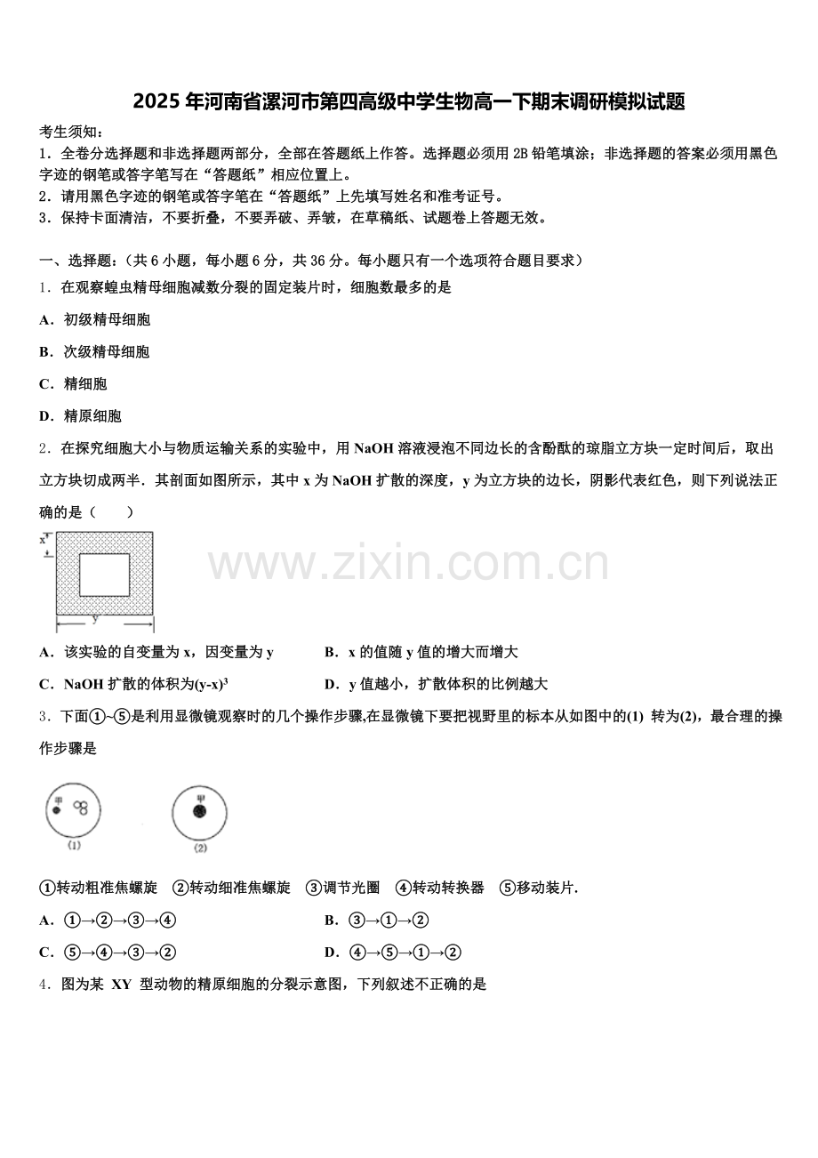 2025年河南省漯河市第四高级中学生物高一下期末调研模拟试题含解析.doc_第1页