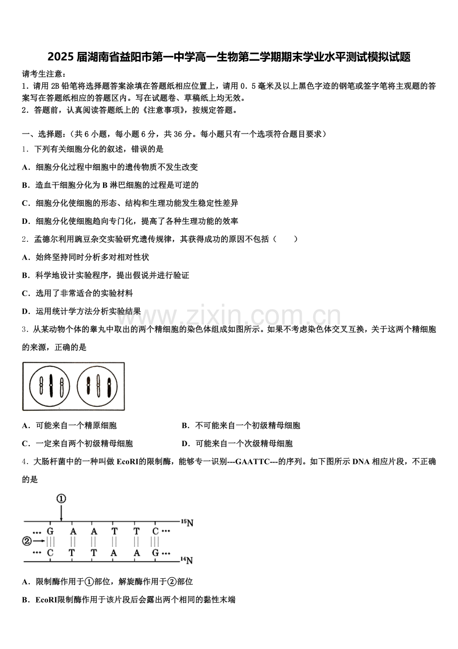 2025届湖南省益阳市第一中学高一生物第二学期期末学业水平测试模拟试题含解析.doc_第1页