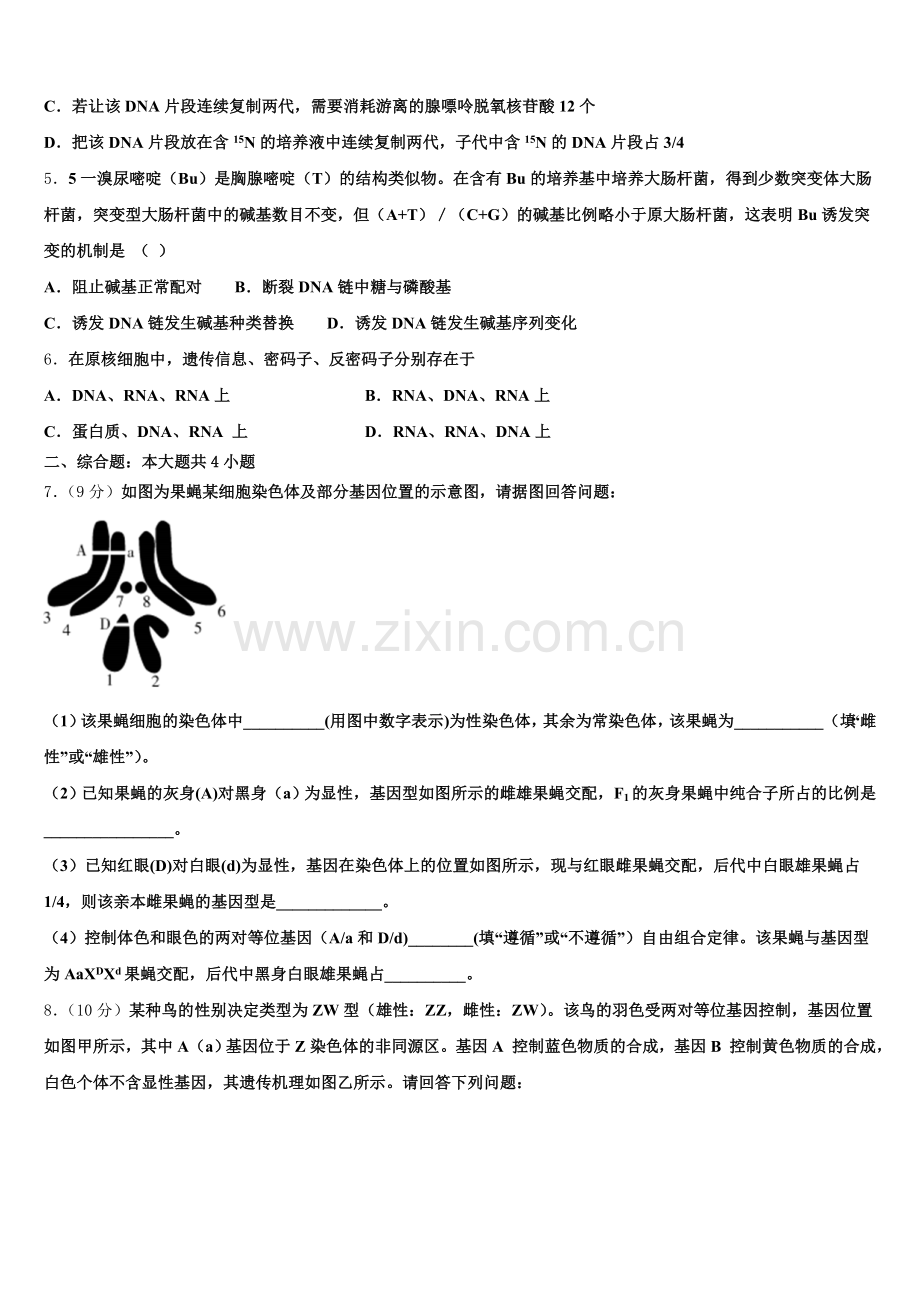 2025届湖南省益阳市第一中学高一生物第二学期期末学业水平测试模拟试题含解析.doc_第2页