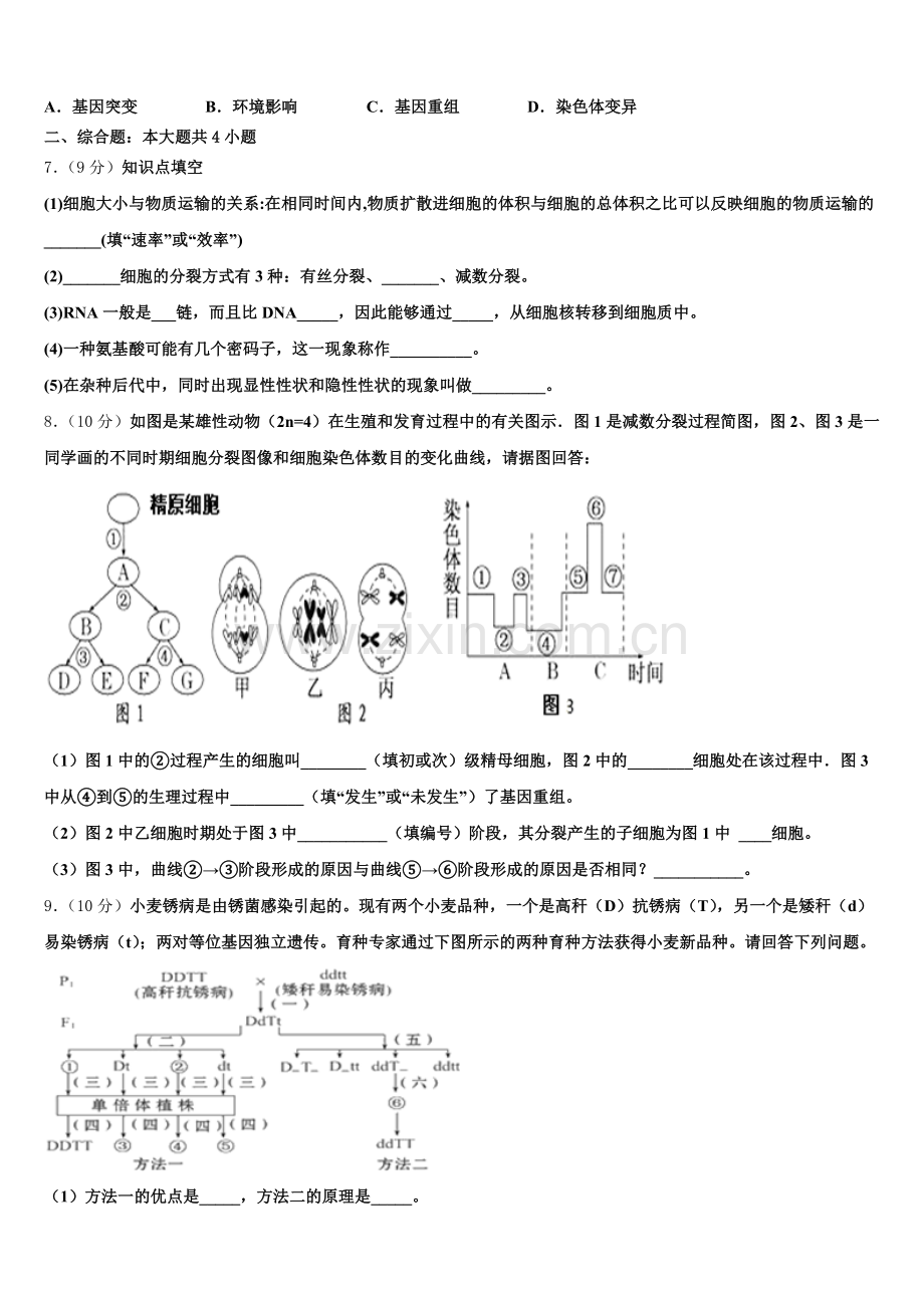 广西柳州市柳江中学2025届高一生物第二学期期末检测模拟试题含解析.doc_第2页