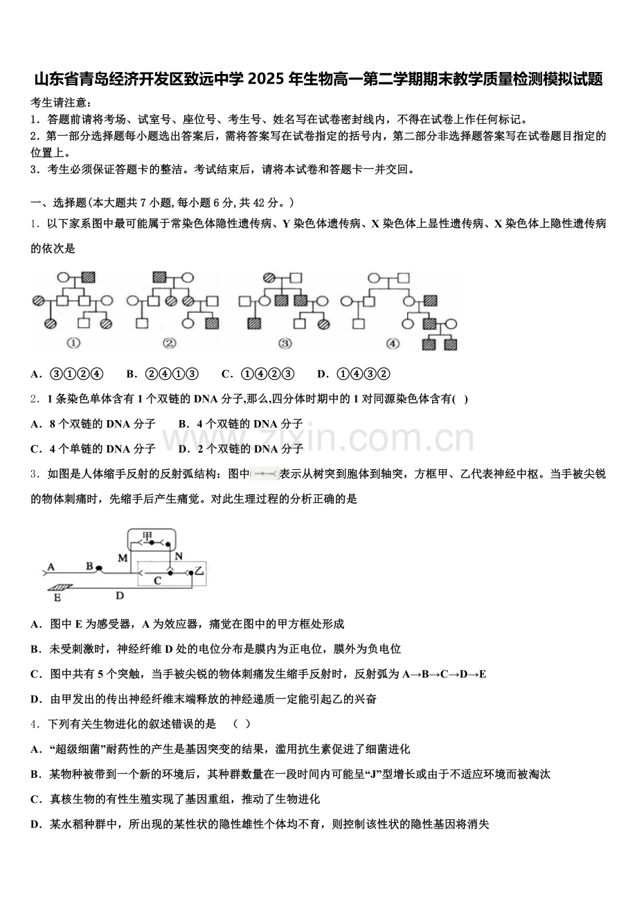 山东省青岛经济开发区致远中学2025年生物高一第二学期期末教学质量检测模拟试题含解析.doc_第1页