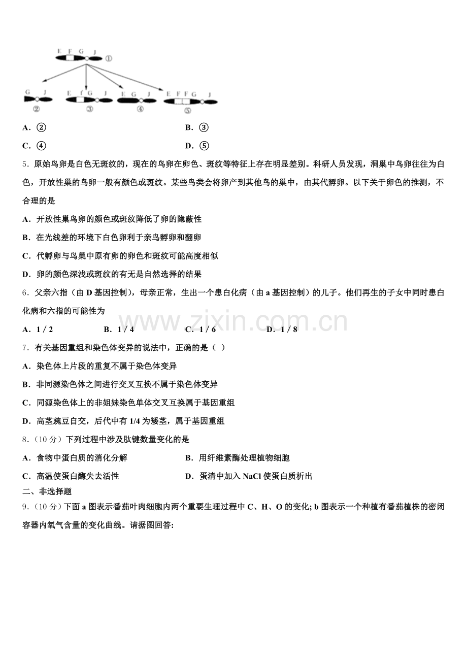 新疆维吾尔自治区阿克苏地区库车县乌尊镇中学2025届高一生物第二学期期末学业水平测试试题含解析.doc_第2页