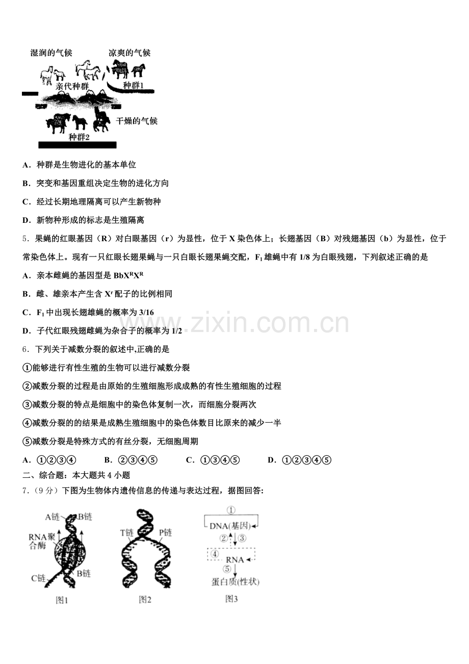 2024-2025学年广东省梅县高级中学、大埔县虎山中学生物高一下期末经典试题含解析.doc_第2页