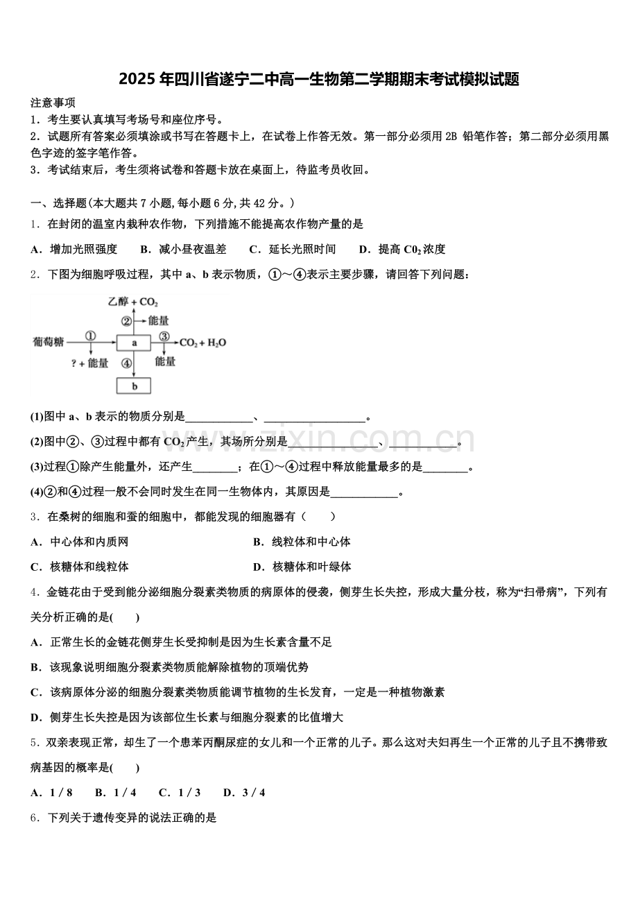 2025年四川省遂宁二中高一生物第二学期期末考试模拟试题含解析.doc_第1页