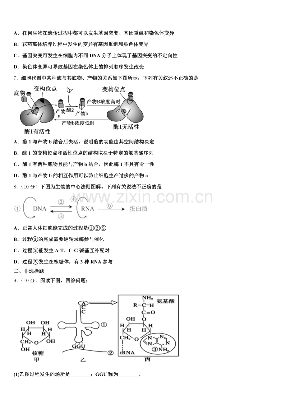 2025年四川省遂宁二中高一生物第二学期期末考试模拟试题含解析.doc_第2页