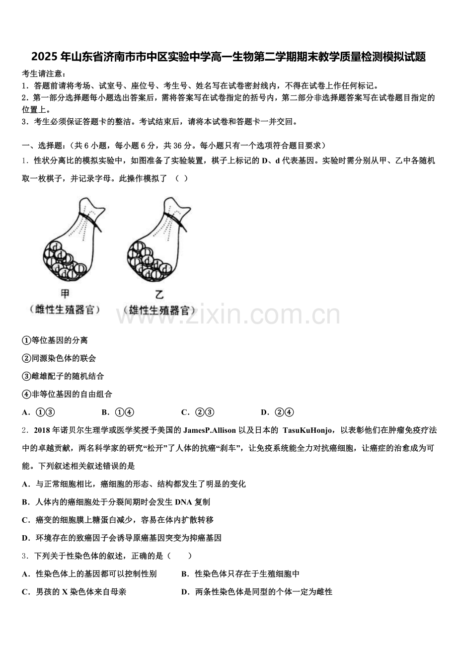 2025年山东省济南市市中区实验中学高一生物第二学期期末教学质量检测模拟试题含解析.doc_第1页