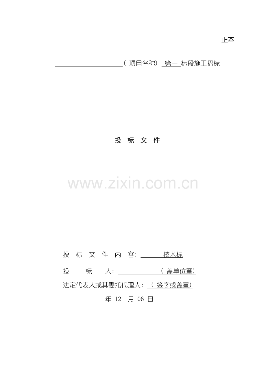 沿街建筑亮化工程施工组织设计技术标模板.docx_第2页