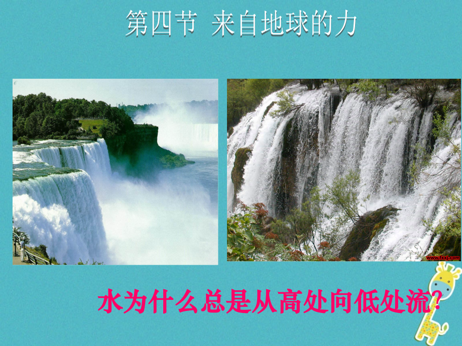 八年级物理全册第六章第四节来自地球的力教学讲义沪科版.ppt_第1页