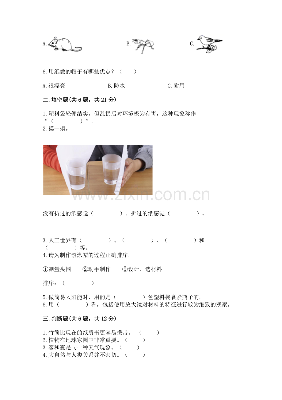 2022教科版科学二年级上册《期末测试卷》（中心小学）.docx_第2页
