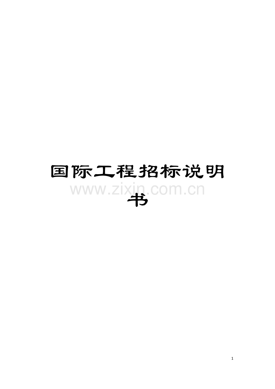 国际工程招标说明书.doc_第1页