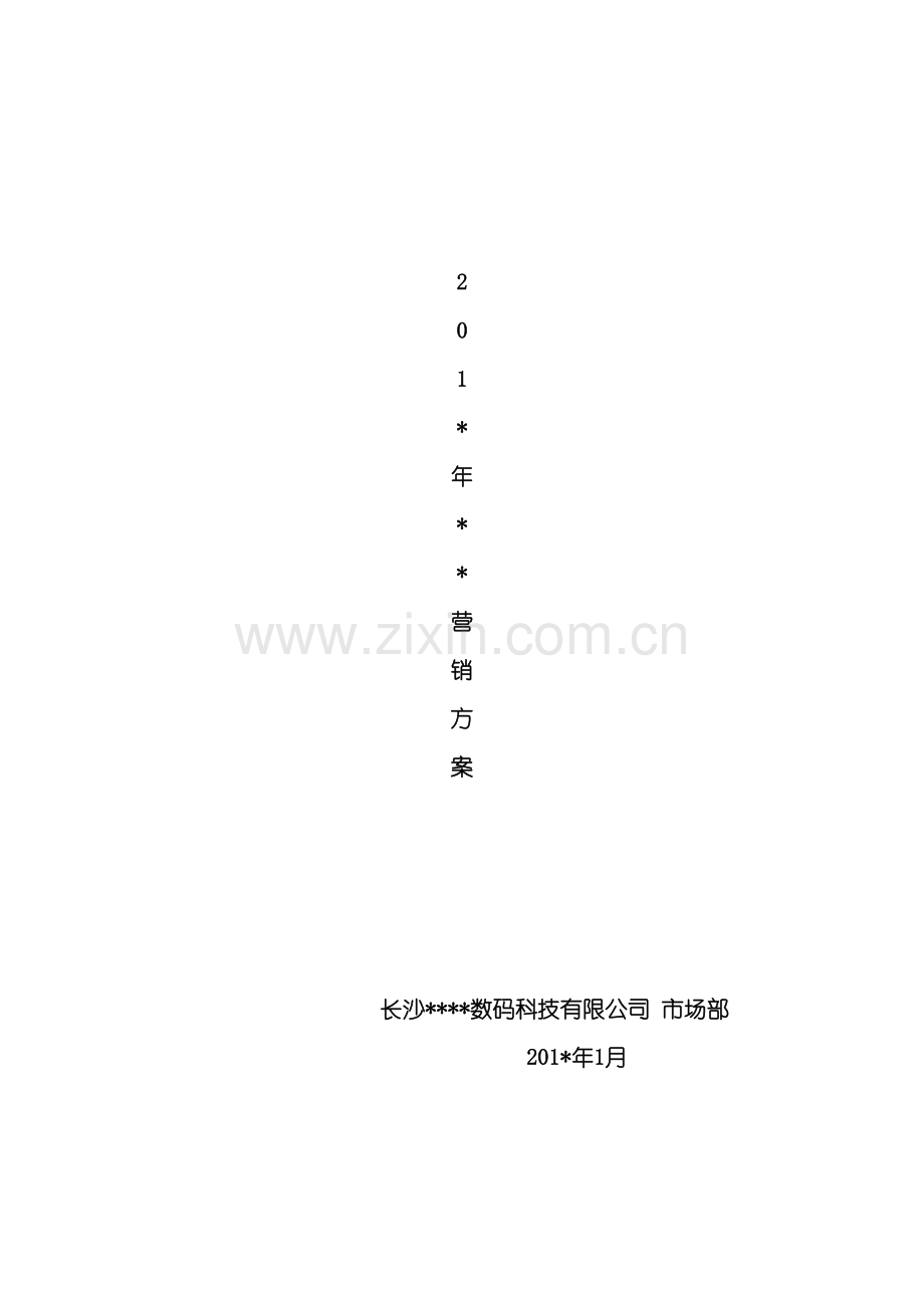 公司年度营销方案一稿.doc_第2页