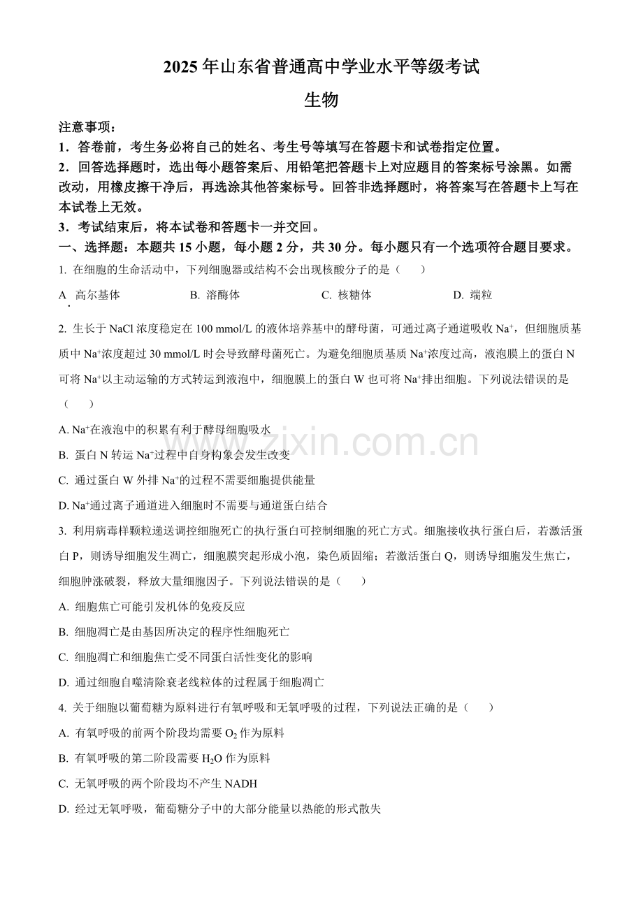 2025年高考山东卷生物真题试卷.docx_第1页