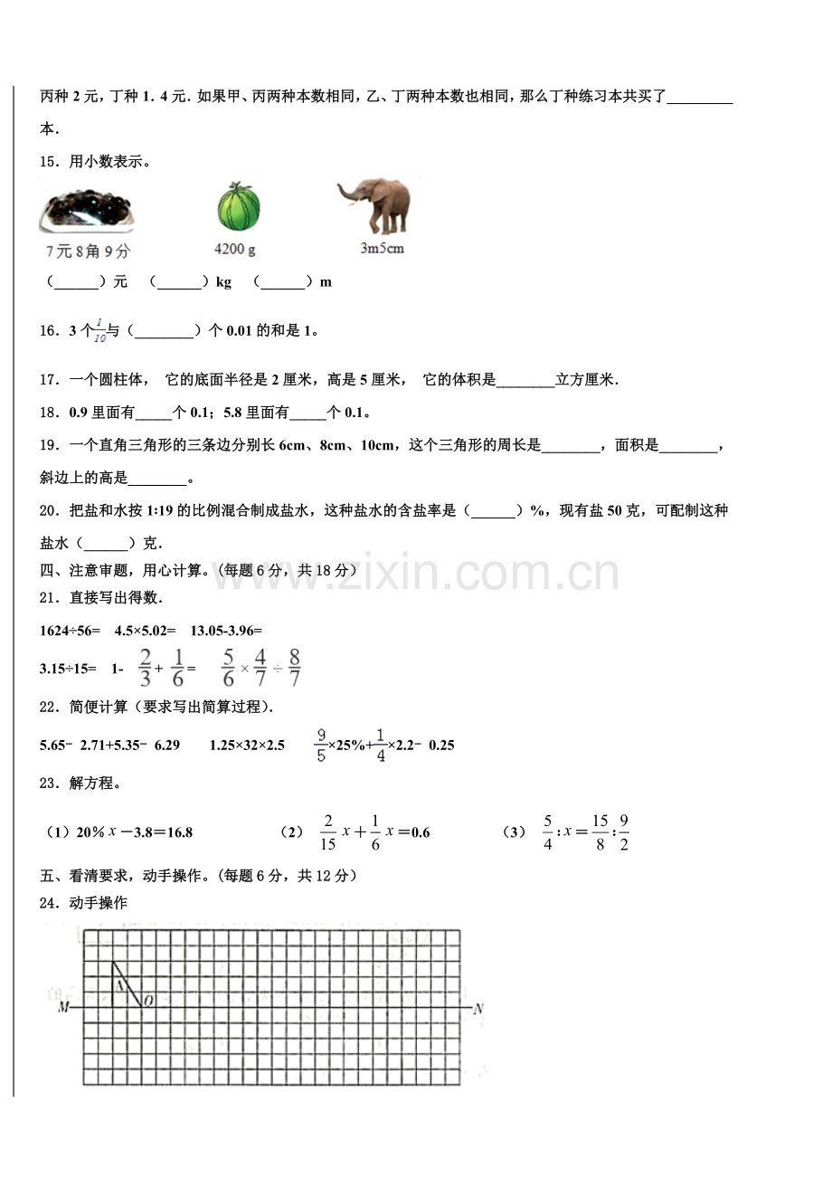 2025届上海市杨浦区小升初总复习数学精练含解析.doc_第2页