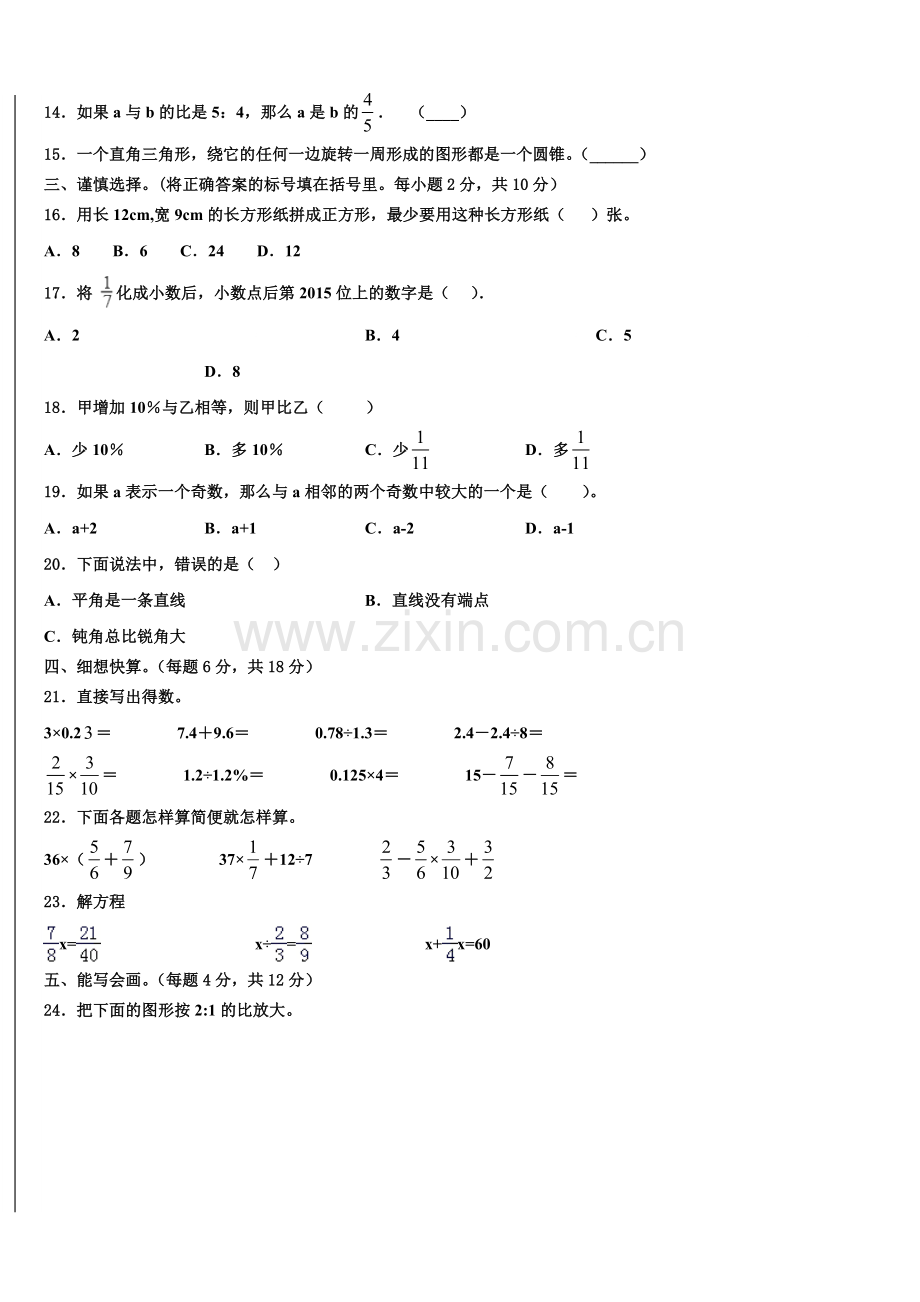 2024-2025学年河北省邢台市南宫市小升初必考题数学检测卷含解析.doc_第2页