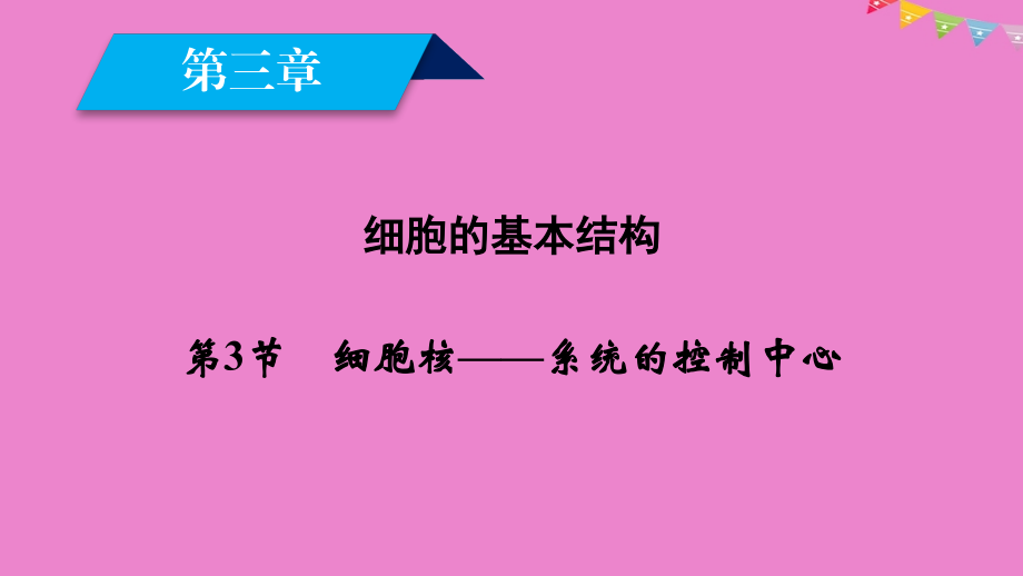 高中生物第三章细胞的基本结构第3节细胞核——系统的控制中心讲义新人教版必修.ppt_第2页