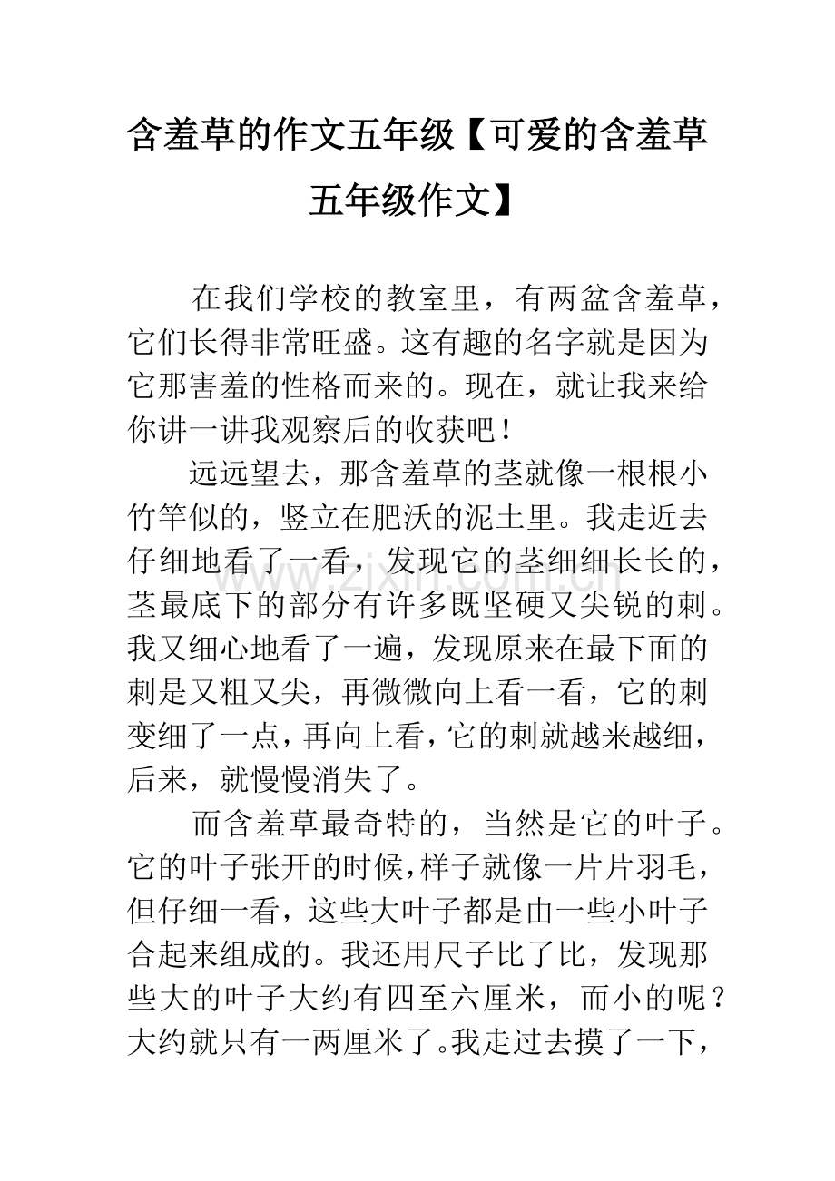 含羞草的作文五年级【可爱的含羞草五年级作文】.docx_第1页