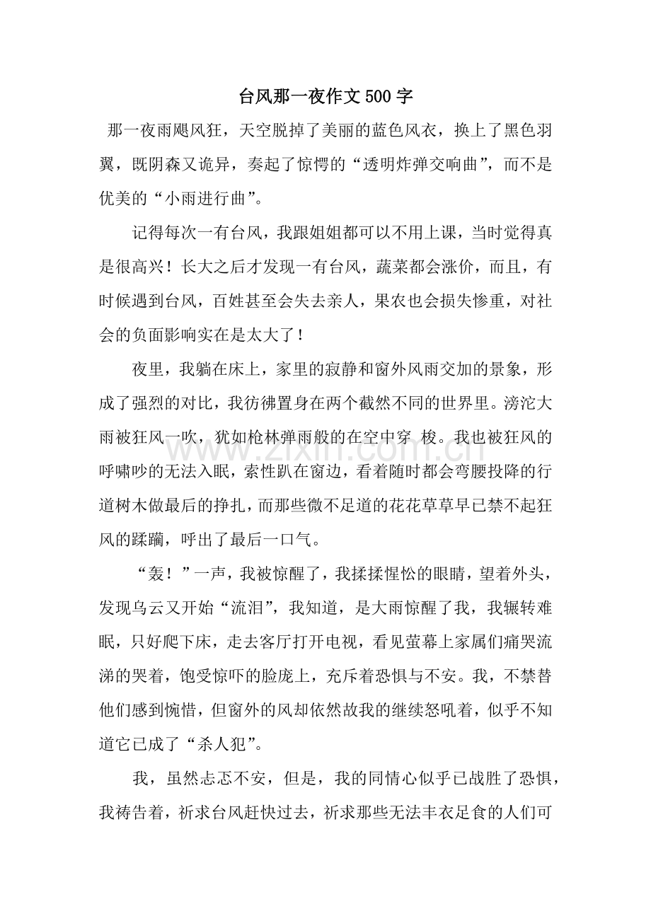 台风那一夜作文500字.docx_第1页