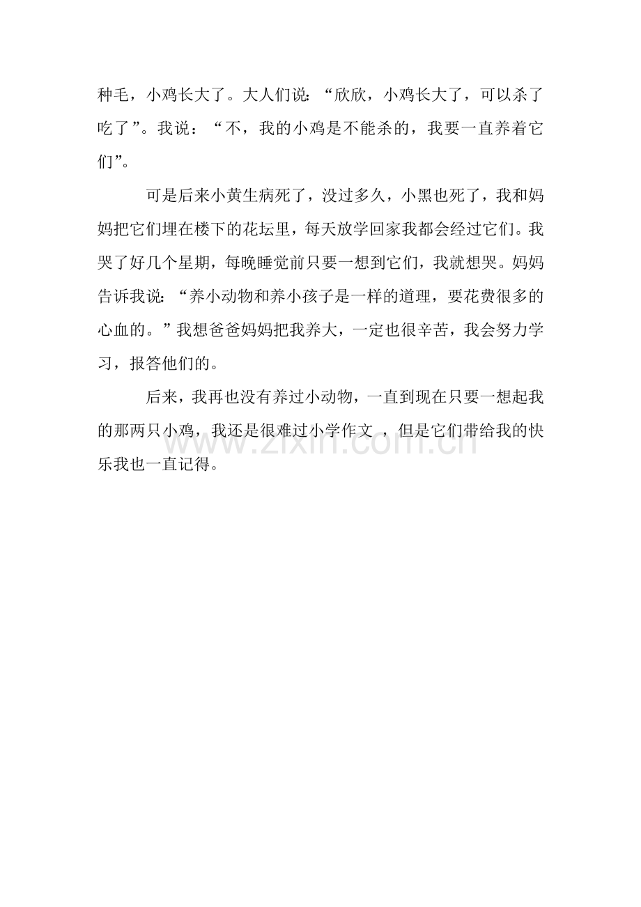 两只小鸡作文800字.docx_第2页