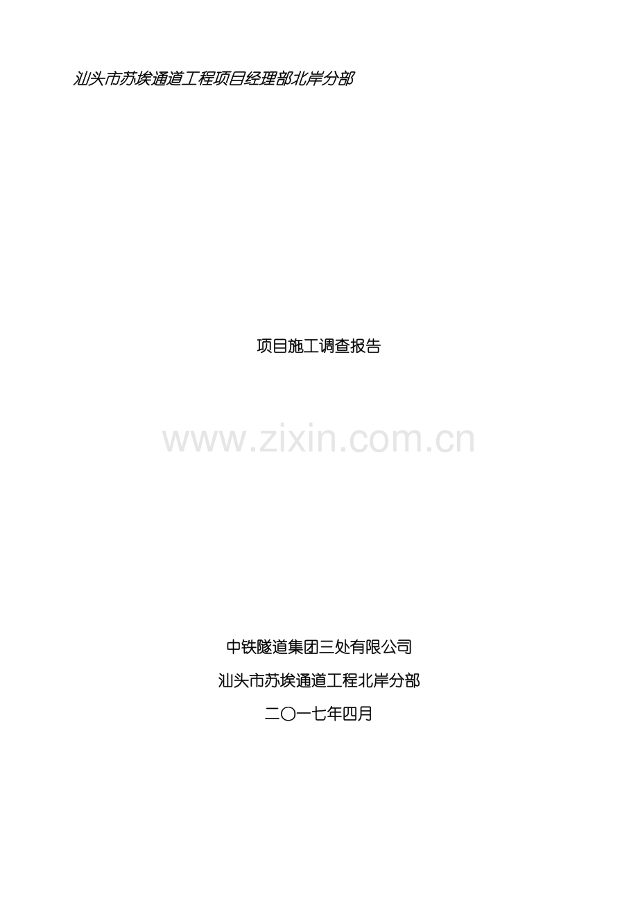 项目施工调查报告模板.doc_第2页