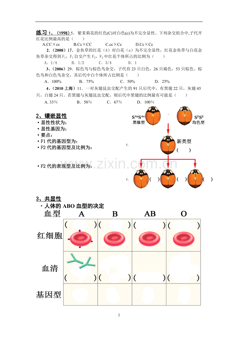 遗传规律拓展-课堂练习.doc_第2页